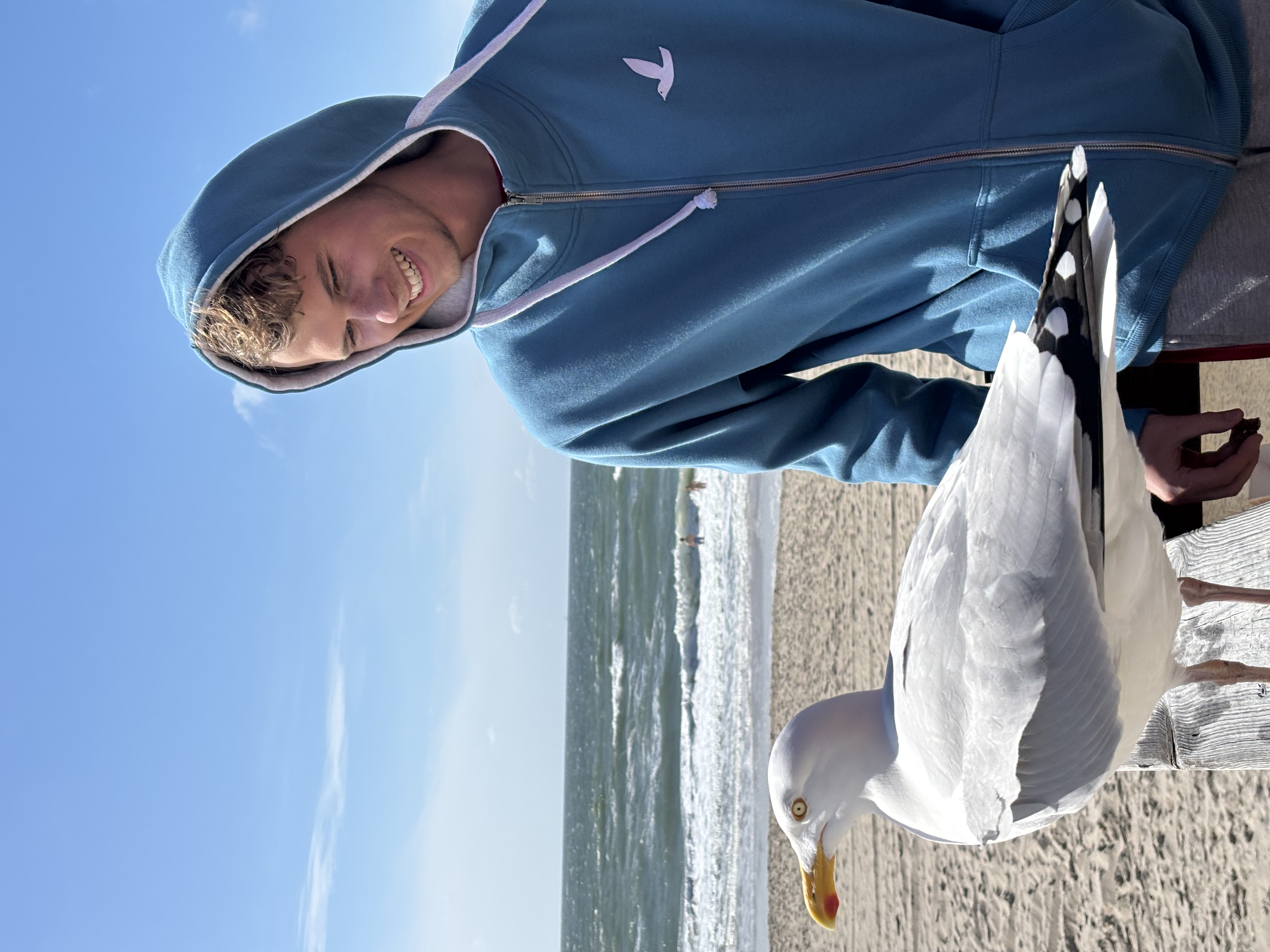 Classic Zip Hood Möwe / deep ocean blue
